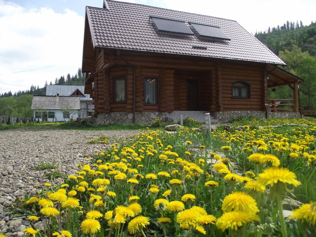 Cabana Piatra Runcului Ватра Молдовицей Экстерьер фото