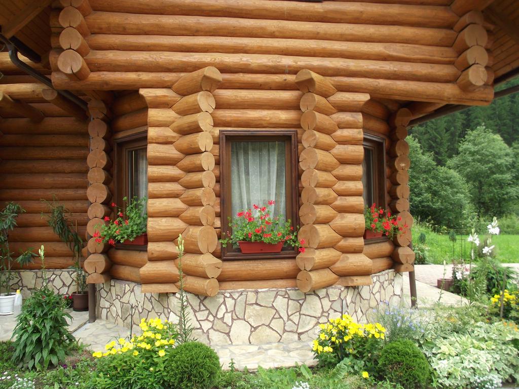 Cabana Piatra Runcului Ватра Молдовицей Экстерьер фото