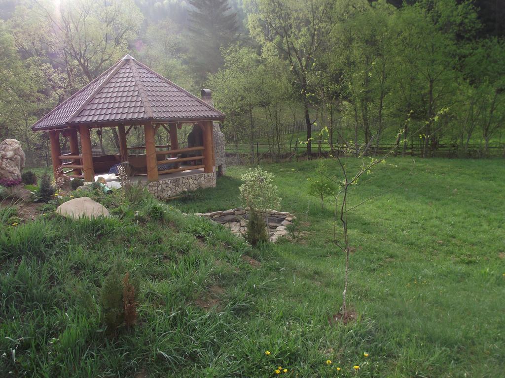 Cabana Piatra Runcului Ватра Молдовицей Экстерьер фото