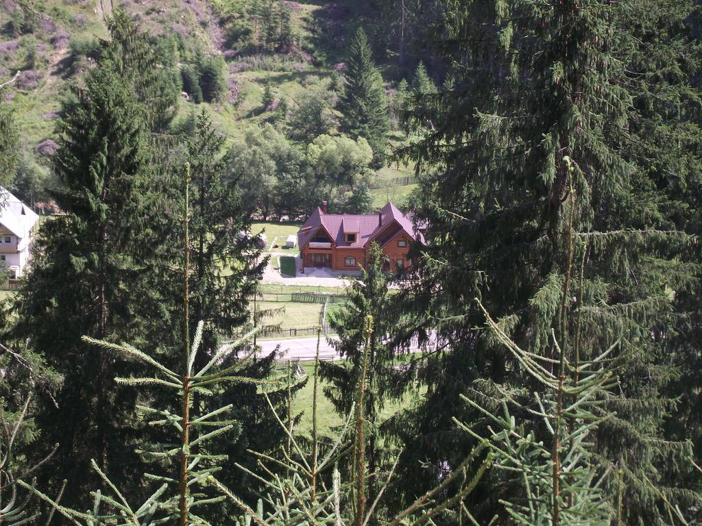 Cabana Piatra Runcului Ватра Молдовицей Экстерьер фото